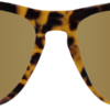 sales_frente_kids_tortoise-gold sales_frente_kids_tortoise-gold
